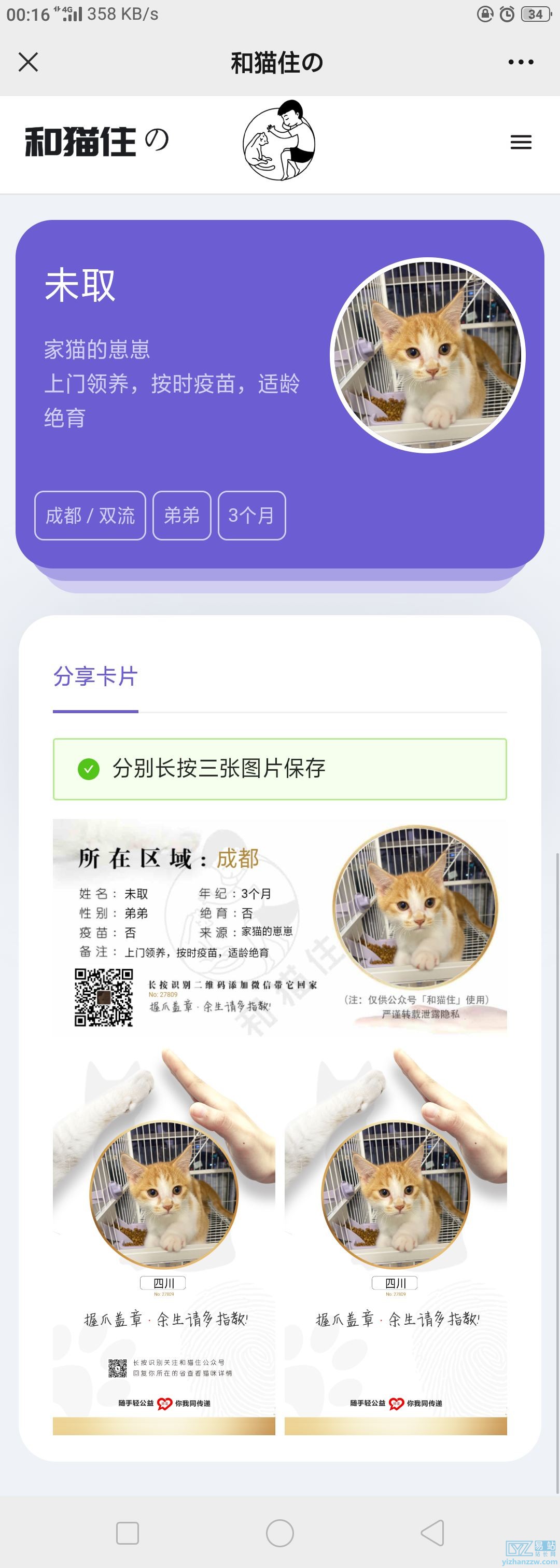 图片[1]-h5宠物领养源码-流浪猫狗领养发布源码-易站站长网