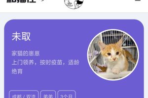 h5宠物领养源码-流浪猫狗领养发布源码-易站站长网