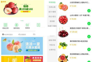 商淘连锁便利店、水果店、百货店管理系统 源码-易站站长网