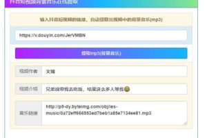 抖音视频背景音乐在线解析提取mp3源码-易站站长网