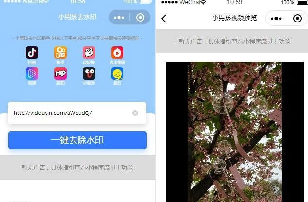 抖音去水印小程序源码独立版 无后台-易站站长网