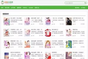 WordPress主题-免费小说XSnov主题下载-易站站长网