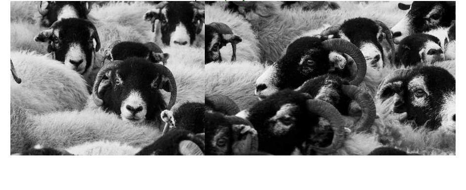 jquery.nicescroll滚动条应用--无滚动条左右拖拽滚动-易站站长网