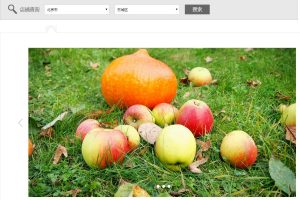 jQuery省市二级联动关联店面查询表单代码-易站站长网