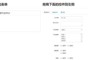 强大的jQuery拖拽式表单设计器特效源码-易站站长网