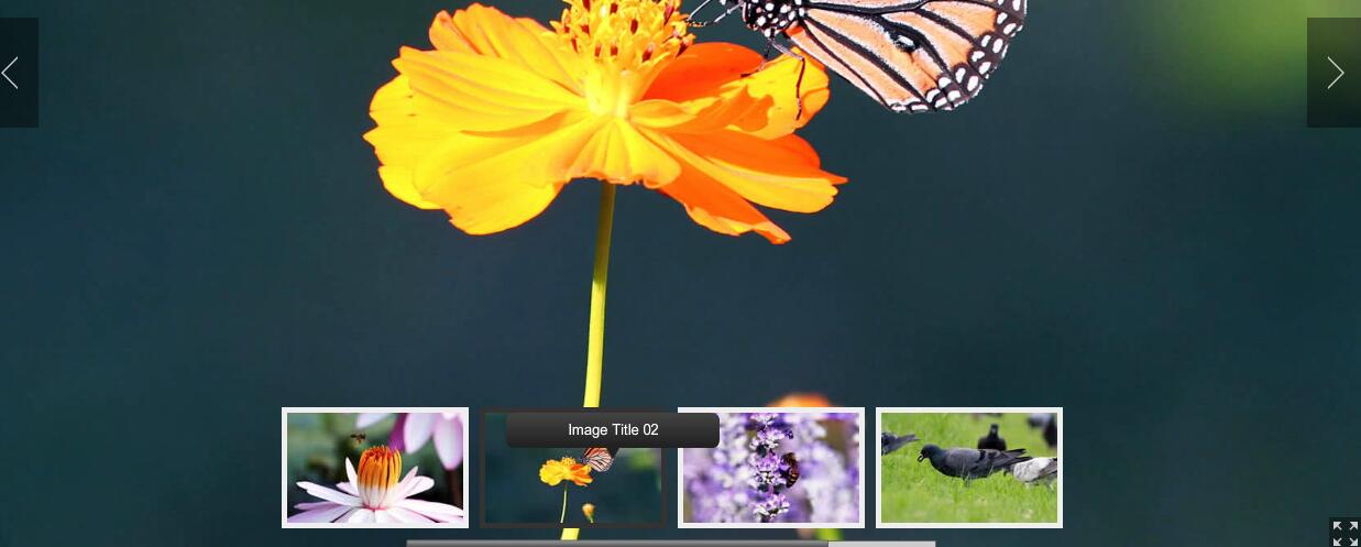 全屏显示的flash+xml相册画廊代码-易站站长网