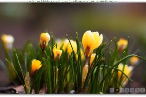 jquery自适应图片宽度的幻灯片切换效果源码-易站站长网