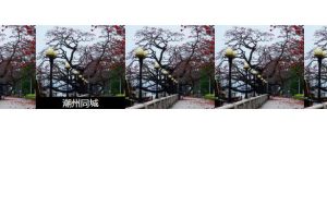 jquery鼠标移到Image上方时显示文字效果源码-易站站长网