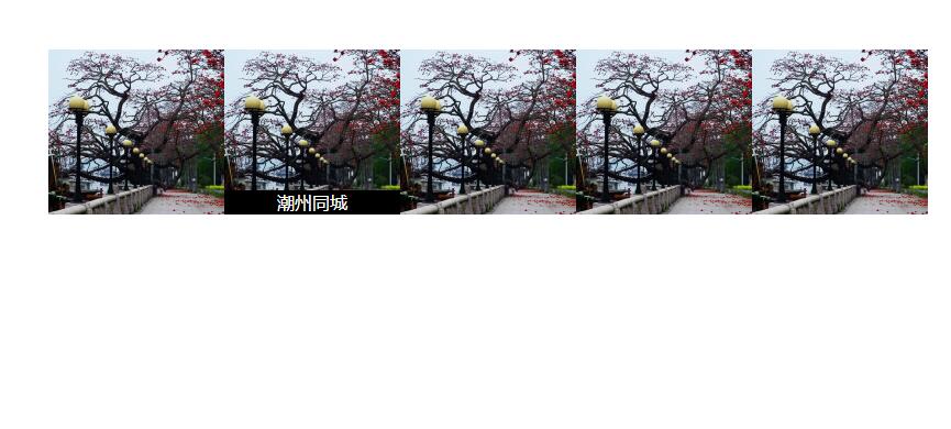 jquery鼠标移到Image上方时显示文字效果源码-易站站长网