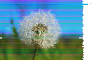 js+css3模拟电视机信号不稳定图像画面故障动画特效源码-易站站长网