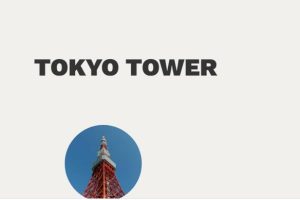 js+css3鼠标悬停文字链接显示圆形图片特效源码-易站站长网