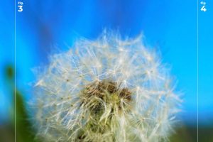 js+html5全屏手风琴幻灯片图片切换展示特效源码-易站站长网