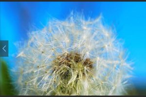 js带导航菜单Banner焦点图轮播代码-易站站长网