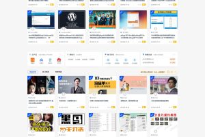 日主题ripro-几万个资源打包源码-无需授权-易站站长网