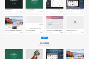 日主题riproV3.1破解授权版-虚拟资源下载源码-易站站长网