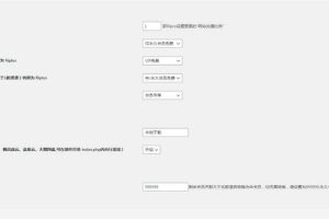 RiPro转换RiPlus资源文章规则插件源码-易站站长网