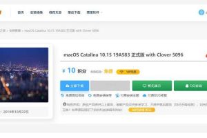 日主题ripro-文章页付费下载插件riprodl_v1美化版本源码-易站站长网