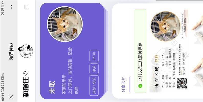 流浪猫流浪狗宠物领养平台H5源码-易站站长网