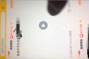 兔子团聚星社区app整理修复版 带完整搭建视频教程-易站站长网