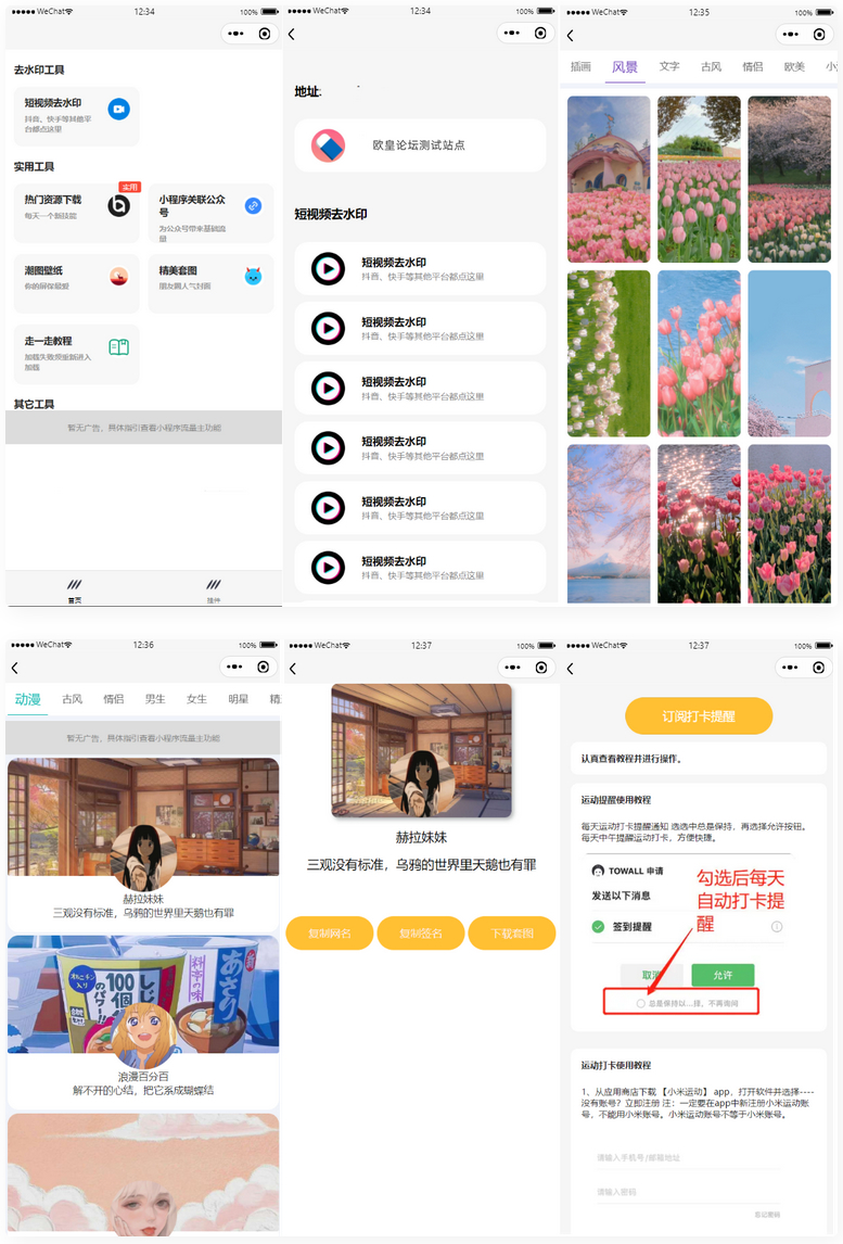 多接口带头像挂件制作短视频去水印微信小程序源码-易站站长网