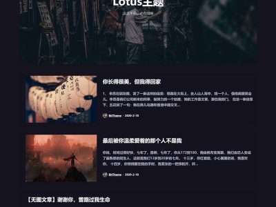Lotus1.1主题-暗黑极客自媒体资讯博客WordPress主题-易站站长网
