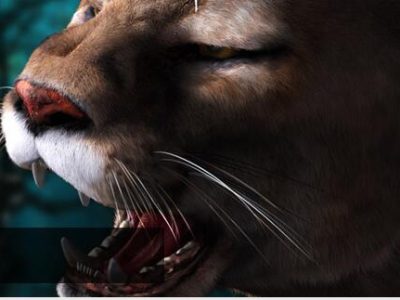 纯CSS3图片幻灯片切换效果代码-易站站长网