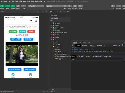 短视频去水印和图片加水印生成微信小程序源码-易站站长网