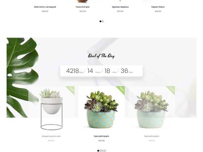 简洁精美的植物花卉商城网站HTML模板源码-易站站长网