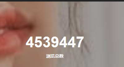 wordpress子比主题文章总数以及其他统计代码及使用方法-易站站长网