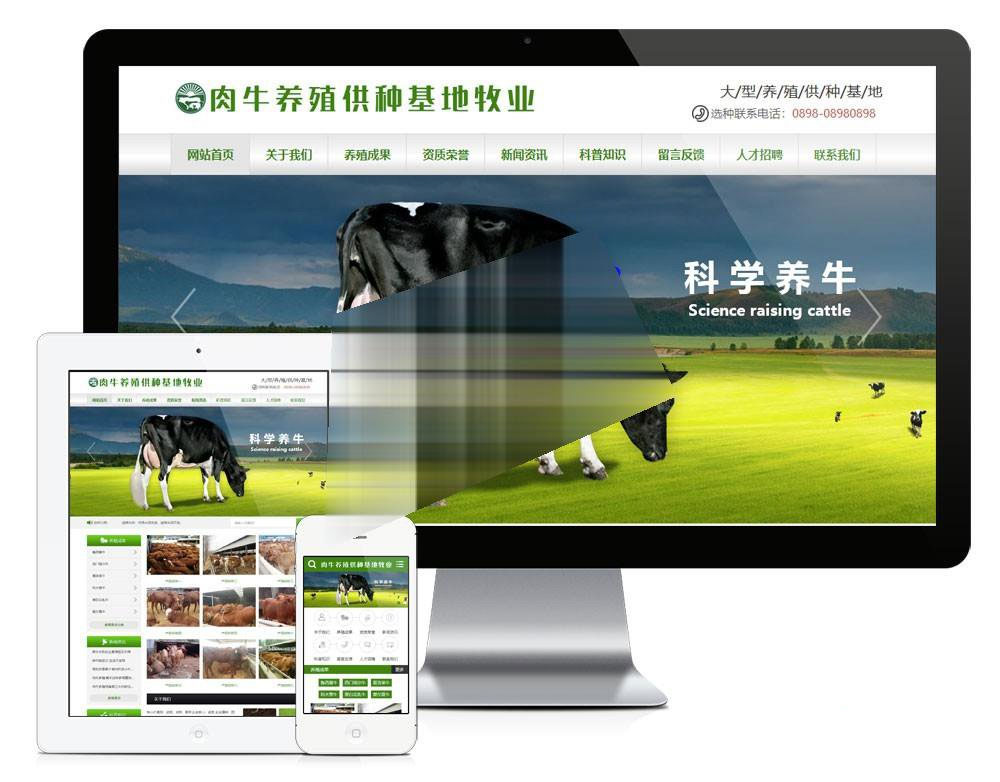 肉牛养殖供种基地牧业公司网站源码-易优cms模板-易站站长网