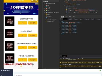抖音去水印WEB接口版源码-易站站长网