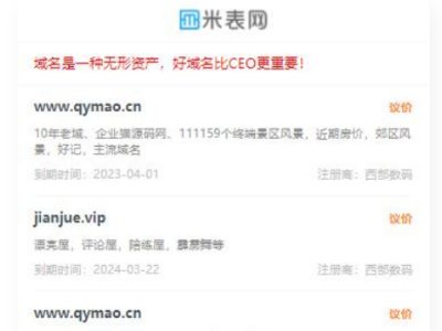 勇帅米表域名展示出售系统源码-PC+H5-易站站长网