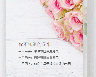 鲜花订购，animation动画卡片效果微信小程序源码-易站站长网