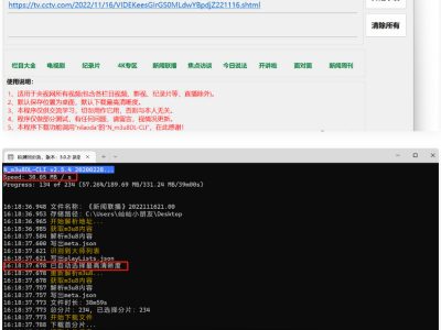 央视视频超级下载工具V1.0央视视频所有视频均可解析下载-易站站长网