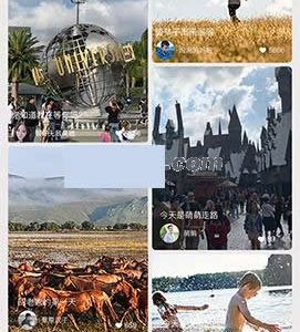 [PHP]YYC松鼠短视频系统源码v5.1.3-易站站长网