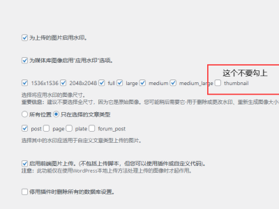 WordPress自动设置文章图片加水印,特色图片缩略图无水印的方法-易站站长网