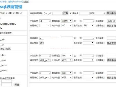 石头科技 – MYSQL管理工具v200330-易站站长网