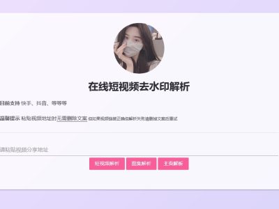 短视频解析html源码-内置kpi接口-易站站长网