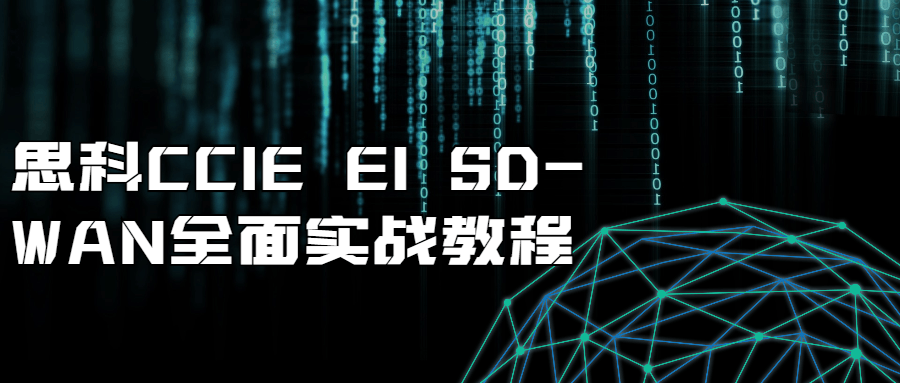 思科CCIE EI SD-WAN全面实战教程-易站站长网