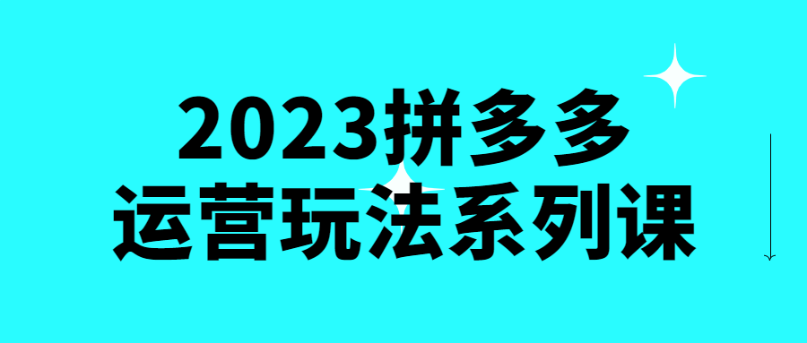 2023拼多多运营玩法系列课-易站站长网