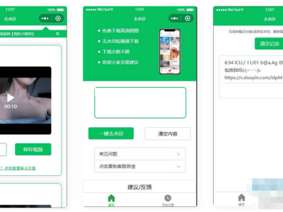 去水印小程序源码-无需后台对接接口支持全网去水印功能-易站站长网