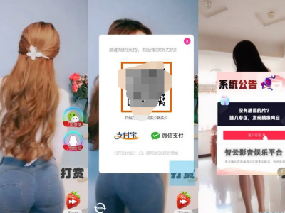 H5随机短视频滑动版带打赏源码-易站站长网