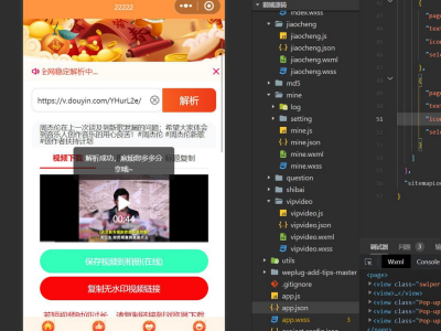 最新版本的橙色前端微信去水印小程序源码-易站站长网