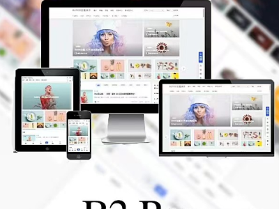 WordPress B2 Pro 主题5.2.0欢乐版源码-包含官方包体和授权文件-易站站长网