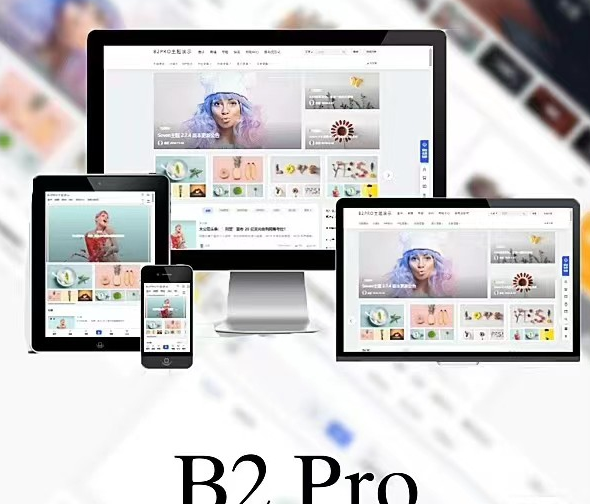 WordPress B2 Pro 主题5.2.0欢乐版源码-包含官方包体和授权文件-易站站长网