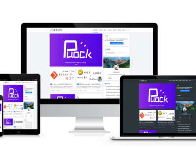 基于WordPress开发的高颜值的自适应Puock主题源码-支持白天与黑夜模式v2.8.2-易站站长网