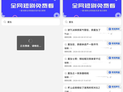 引流源码短剧搜索前端源码+内附搜索API-易站站长网